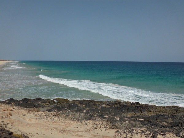 Praia de João Barrosa - Turtles Beach