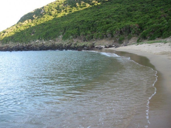 Punta Frasca
